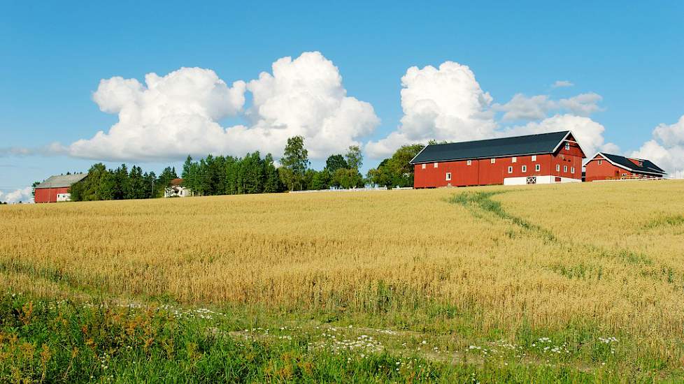 Topigs Norsvin › Den norske tilnærmingen: banebrytende bærekraft drevet av politiske valg |  Pigbusiness.nl