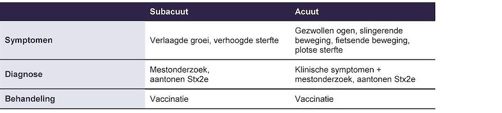 Tabel 2: Subacute vs. acute oedeemziekte