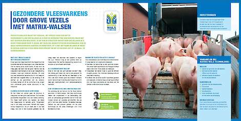 Download het gratis whitepaper en lees waarom vezels juist zo belangrijk zijn voor goed presterende vleesvarkens.