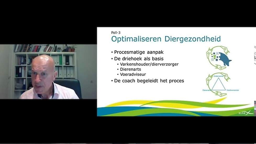 Webinar: Optimalisering Diergezondheid Varkenshouderij