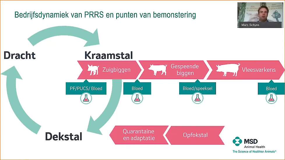 VarkensVlog: PRRS serie 1/7: Monitoringsprogramma PRRS