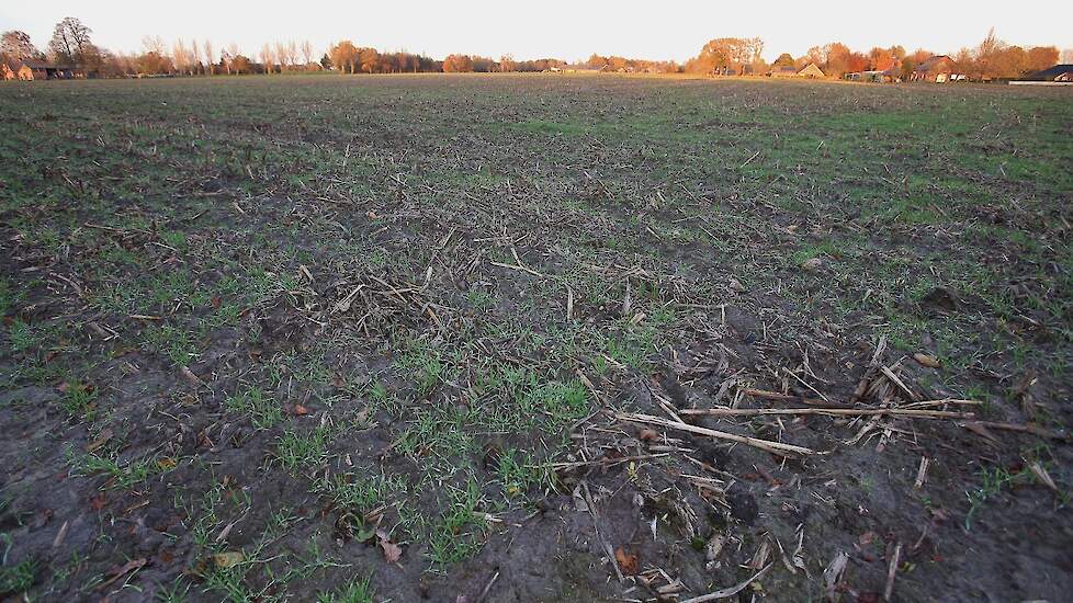 De familie zet een groot deel van zijn mest af op eigen akkerbouwland. De broers werken al jaren samen met een akkerbouwbedrijf uit de buurt. Ook hier is sprake van partnerschap met wederzijds voordeel. Er wordt grond uitgeruild voor vruchtwisseling. En h