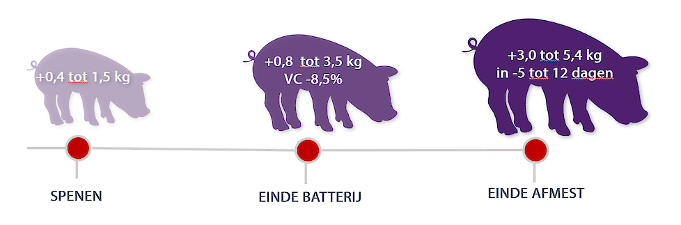 Impact van een behandeling tegen coccidiose op de groei tijdens de zoogperiode en daaruit voortvloeiende impact op de groeiprestaties na het spenen