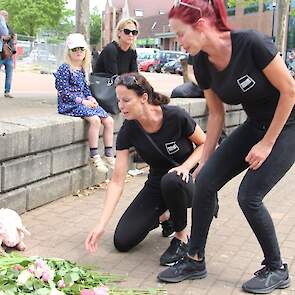 De AR-activisten legden zaterdag onder meer bloemen bij knuffelvarkens ter nagedachtenis van de 4.600 omgekomen varkens.