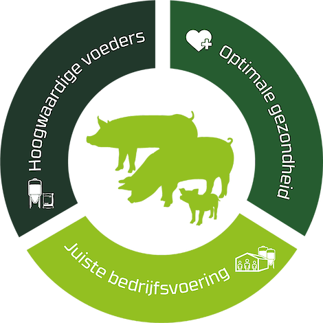 Door met een integrale blik te kijken ligt de focus op een juiste bedrijfsvoering, hoogwaardige voeders en optimale gezondheid.