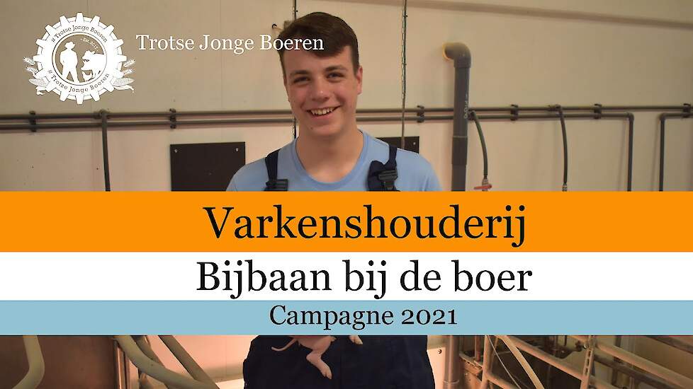 Varkenshouderij - Bijbaan Bij De Boer