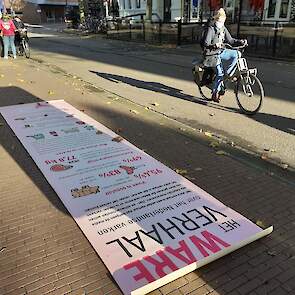 De roze loper ligt uit in Nijmegen, als symbool voor een open gesprek.