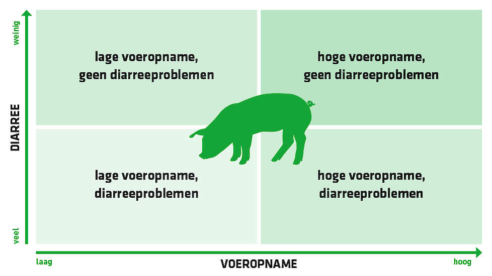 Voerstrategie na spenen