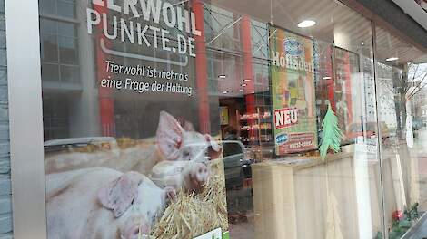 VDF warnt vor Totalausfall der deutschen Schweinehaltung |  Pigbusiness.nl