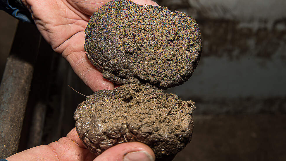 Het is belangrijk dat de mest van de zeugen rondom het werpen smeuïg is. Grove vezels leveren daar een belangrijke bijdrage aan. Deze zie je ook goed terug in de mest. De Heus zorgt voor de juiste vezelfractie met behulp van de speciale Matrix-wals-techno