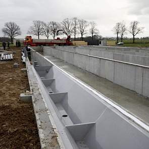 Onder de roosters zijn mestpannen aangebracht. Roes wilde een nieuwe stal bouwen zonder luchtwasser. De mestpannen worden in vier banen over de lengterichting van de stal gelegd.