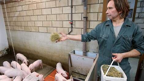 Jan Vogels: ‘Griep kan ook in de kraamstal voorkomen’