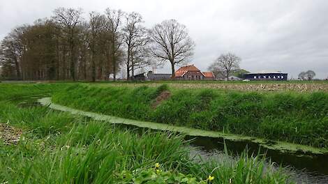 Boerenweercolumn: Winterse weken opgevolgd door 'lentegevoel'- dagen