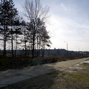 De afgelopen jaren is Bolart veel meer geworden dan alleen een varkensbedrijf. Zo is geïnvesteerd in zonne- en windenergie. Arts is momenteel druk met de ontwikkeling van een nieuw windmolenpark met zes windturbines. Samen met de twee huidige windturbines