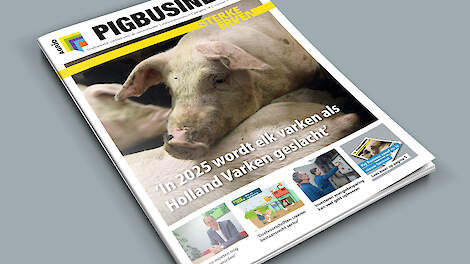 Nieuw formaat Pig Business