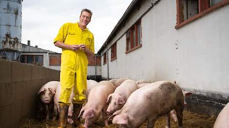 Fotoserie: Pionier Uwland zet speciale Leicoma varkens voor meerprijs rechtstreeks af in voormalig DDR