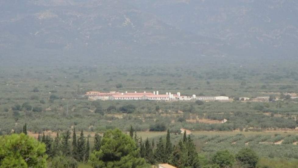 Het varkensbedrijf van Dennis van Asseldonk ligt in de buurt van het dorpje Santa Barbara in het zonnige noordoosten van Spanje. Het is op twee uur rijden ten zuiden van Barcelona. Tussen de vele olijfboomgaarden staan de stallen van Pordecona.