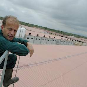 Dennis van Asseldonk (41) heeft een vermeerderingsbedrijf met 2.800 zeugen op één locatie in Spanje. In Nederland heeft hij nog twee vleesvarkenslocaties met in totaal 6.500 vleesvarkens. Eens in de drie weken reist hij met het vliegtuig op en neer.