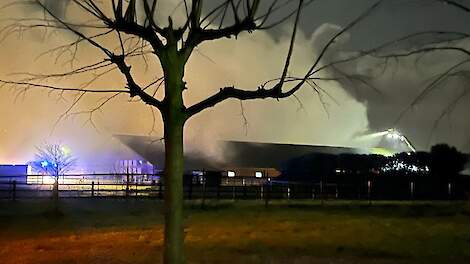 Update: Politie pakt verdachte op voor brandstichting varkenshouderij Boekel