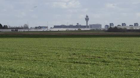 LTO: Willekeur Van der Wal met natuurvergunning voor Schiphol