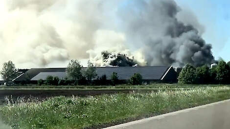 Grote brand bij varkenshouderij in Mussel