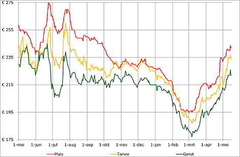 De tarwe schommelt nu rond de 235 euro, de gerst rond de 225 euro en de mais rond de 240 euro.