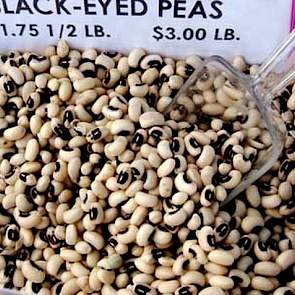 De zwarte ogen bonen (Black Eyed Peas, Vigna Unguiculata) die de familie Smit teelt, is bestemd voor export naar Europa. Wat ze ook veel telen voor de export zijn zaden van de stamslabonen. Het gaat om zowel de moderne industriële als ouderwetse rassen vo