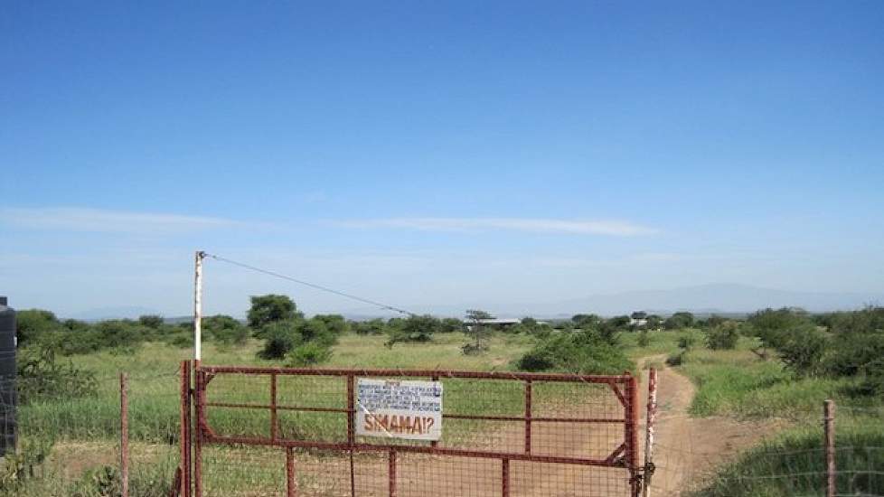 De boerderij ligt op 50 kilometer van de noordelijke Tanzaniaanse stad Arusha. De weg naar de boerderij is nagenoeg helemaal onverhard en in de regentijd vaak dagenlang onbegaanbaar. De varkensstallen liggen op een terrein van 30 hectare.