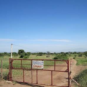 De boerderij ligt op 50 kilometer van de noordelijke Tanzaniaanse stad Arusha. De weg naar de boerderij is nagenoeg helemaal onverhard en in de regentijd vaak dagenlang onbegaanbaar. De varkensstallen liggen op een terrein van 30 hectare.