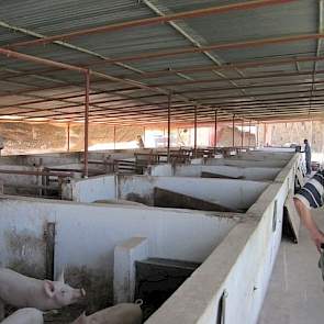 In drukke periodes bij het zaaien en oogsten werken er 50 tot 200 mensen op het land. Het werk in de stallen wordt gedaan door drie dames. Jaap en Trees Smit houden zich vooral bezig met de boerderij en wonen hier ook de meeste tijd.