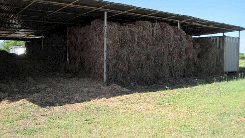 Al het stro wordt zelf op het land gewonnen en gebruikt als strobed bij de varkens. Dit is belangrijke mest voor op het land.