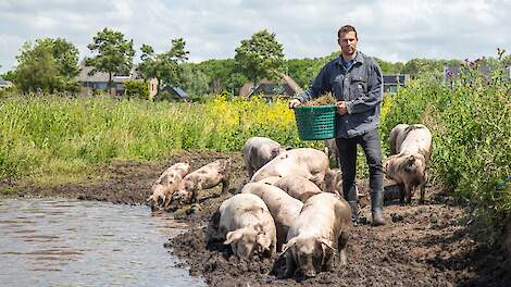 Circulair vlees van Amsterdamse stadsvarkens