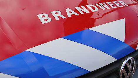 Uitslaande brand in varkensstal Landhorst onder controle