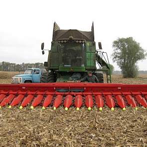 Al het varkensvoer op het bedrijf wordt zelf geteeld. De premixen worden aangekocht. Het zeugenvoer bestaat uit: tarwe (50 procent), gerst (35 procent), premixen (10 procent) en soja (5 procent). In het vleesvarkensvoer wordt maximaal 10 procent van het g