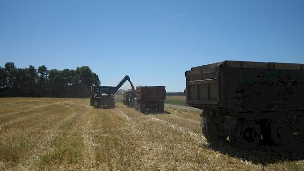 De gemiddelde perceelgrootte bedraagt 140 hectare. Het teeltplan bestaat uit: soja (25 procent), maïs (20 procent) wintertarwe (20 procent),  koolzaad (15 procent), suikerbieten (10 procent) en wintergerst (10 procent).