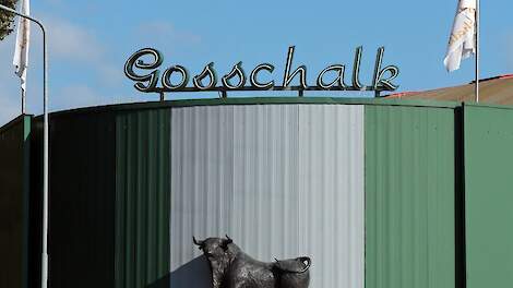 Werkstraf voor medewerker Gosschalk na dierenmishandeling, vier anderen niet vervolgd