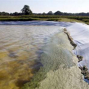 Kalverhouderij met kas voor Eveneens achter de stal zijn de eerste 2 van de zeven eendenkroosvijvers aangelegd. In totaal wil Kroes buiten 1,5 ha vijvers aanleggen.