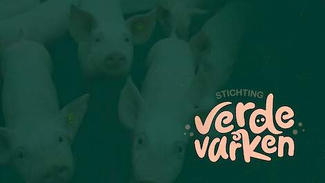 Van Rooi introduceert ‘Verde Varken concept’ voor ondernemerschap en dierenwelzijn