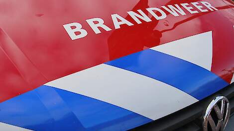 Stalbrand in Beltrum kost 700 biggen het leven