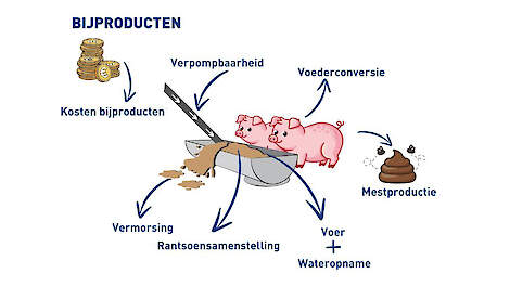 Weet je wat de impact van droge stof op de brijvoergift is?