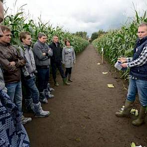 De keuze van het maïsras is volgens ruwvoerdeskundige van ForFarmers Hendrix Ron Vennix maar 10 procent van invloed op de opbrengst. Bemesting blijft de belangrijkste factor. Daarnaast is de pH van de grond ook van invloed. De ideale pH ligt tussen de 5,5