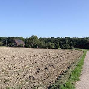 Naast varkens is Schepers samen met zijn vrouw drie jaar geleden met een recreatietak begonnen. Net over de grens bij Gendringen in de Achterhoek hebben ze in Vehlingen een boerderij uit 1936 met 2,5 hectare grond gekocht. Boerderij ‘Wolfsfeld’ is geheel