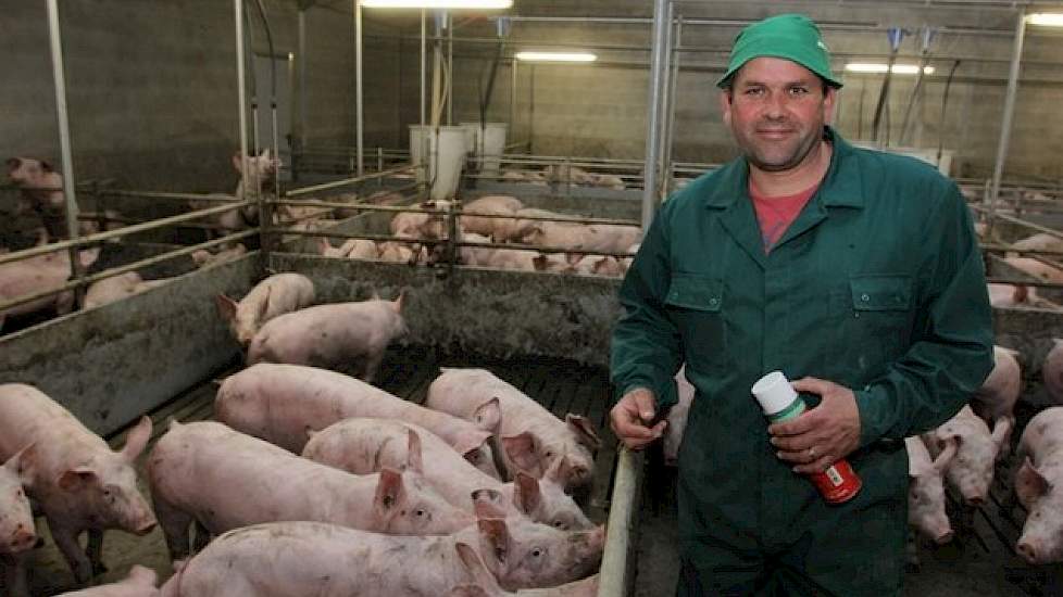 René Schepers (45) heeft zes verschillende locaties met varkens. Hij heeft één locatie in Nederland en vijf locaties met varkens net over de grens in de Duitse deelstaat Noordrijn Westfalen. Hij houdt Topigs-20 zeugen en dekt deze met sperma van de Top Pi