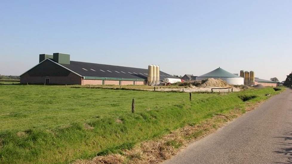 In Geldern houden ze nu 5.000 vleesvarkens. Vorig jaar is er een nieuwe stal bijgebouwd voor 2.500 dieren. De nieuwe stal is uitgerust met een luchtwasser. Voorheen was dit in Noordrijn Westfalen niet nodig, maar ook de tijden in Duitsland zijn veranderd.