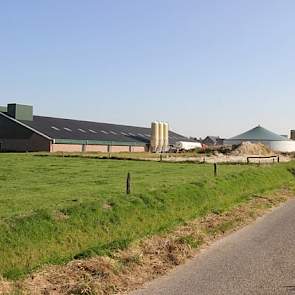 In Geldern houden ze nu 5.000 vleesvarkens. Vorig jaar is er een nieuwe stal bijgebouwd voor 2.500 dieren. De nieuwe stal is uitgerust met een luchtwasser. Voorheen was dit in Noordrijn Westfalen niet nodig, maar ook de tijden in Duitsland zijn veranderd.