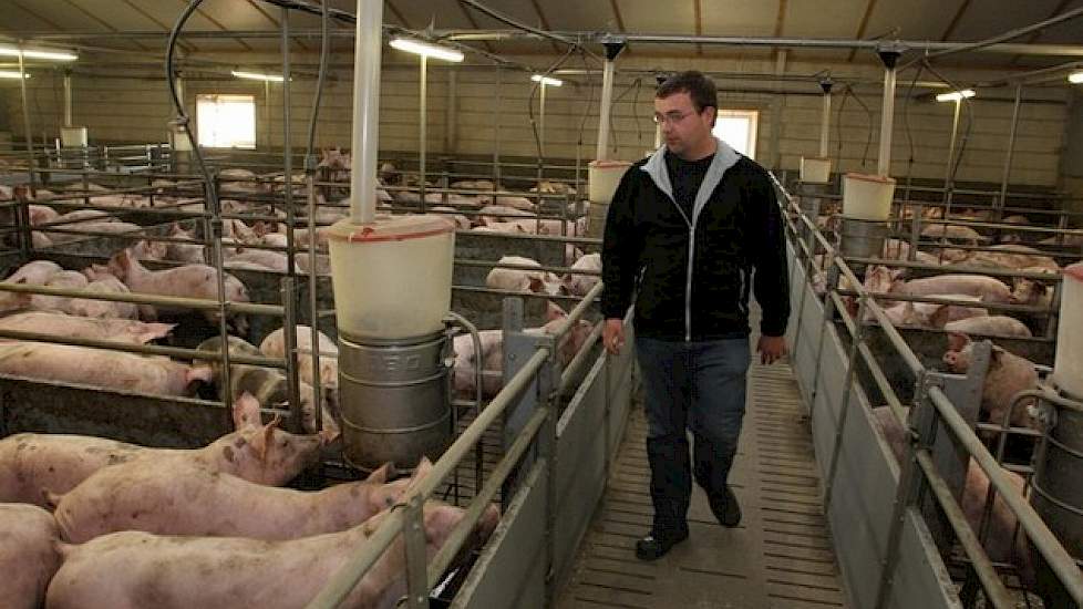 Schepers en Schott hadden het plan om op de locatie in Emmerich uit te breiden naar 4.500 vleesvarkens. Voor 20 september moest de vergunning rond zijn. Varkenshouders in de deelstaat Noordrijn Westfalen zijn vanaf deze datum geconfronteerd met strenge mi