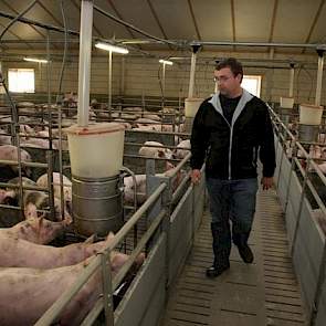 Schepers en Schott hadden het plan om op de locatie in Emmerich uit te breiden naar 4.500 vleesvarkens. Voor 20 september moest de vergunning rond zijn. Varkenshouders in de deelstaat Noordrijn Westfalen zijn vanaf deze datum geconfronteerd met strenge mi