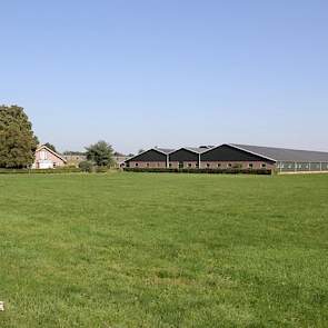 Zijn enige locatie in Nederland is het zeugenbedrijf in Voorst (Oude IJsselstreek) met 1.350 zeugen, 400 geltenopfokplaatsen en een calamiteitenstal voor gespeende biggen met 2.500 plaatsen. Op deze locatie woont hij ook samen met zijn vrouw en kinderen.