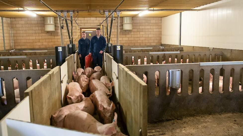 Martin besteedt veel aandacht aan een goede start. Dat begint met het reinigen en ontsmetten van de afdelingen, gevolgd door een sanitaire leegstand van zeven dagen.