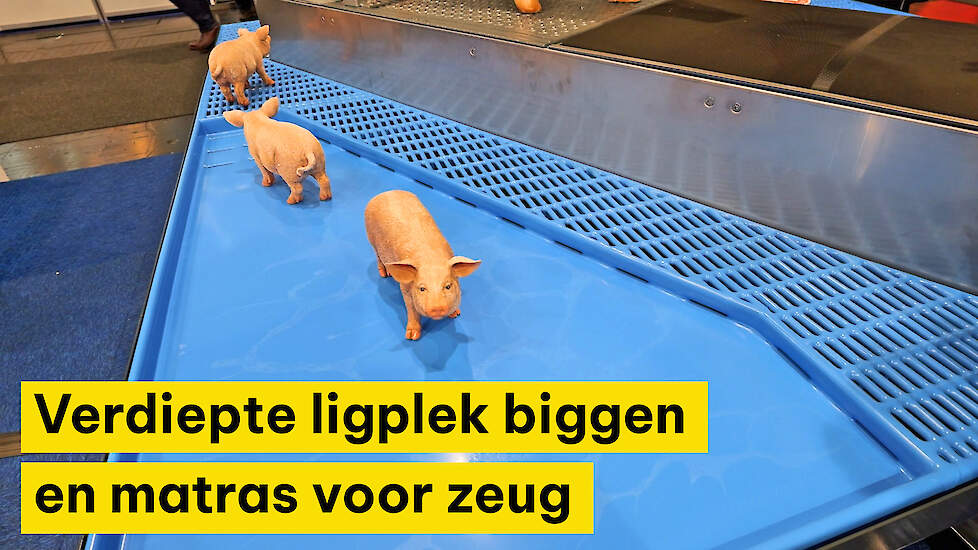 Innovaties van Nooyen Pig Flooring op EuroTier 2024.